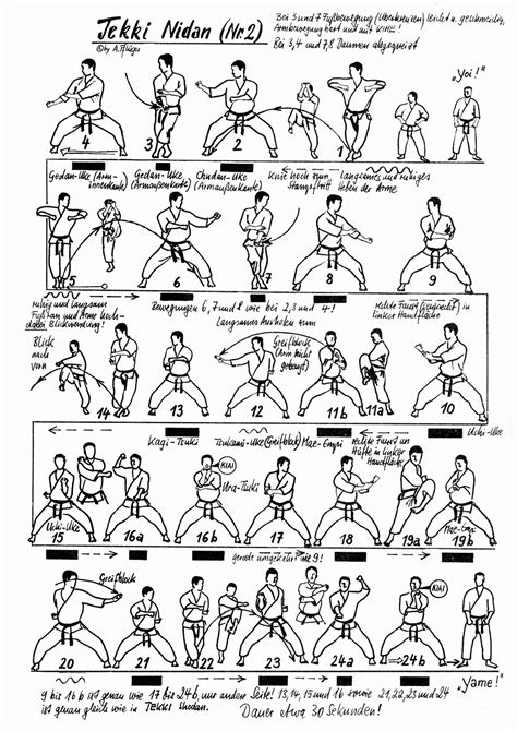 Karate kata are executed as a specified series of a variety of moves, with stepping and turning, while attempting to maintain perfect form. Tekki Nidan (Shotokan) - Karate Do