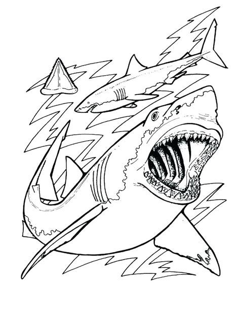 Simple free sharks coloring page to print and color. Scary Shark Coloring Pages at GetDrawings | Free download