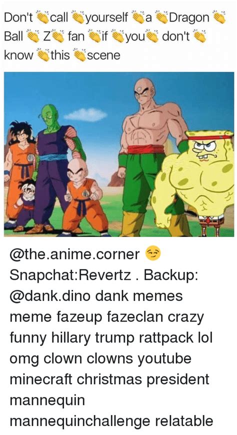 15 savage dragon ball memes that only true fans will understand. Don't Call Yourself a Dragon Ball Z Fan if You Don't Know ...