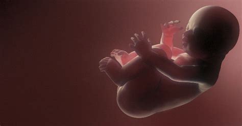 Check spelling or type a new query. Aborto es una decisión personal | Salud180