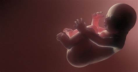 We did not find results for: Aborto es una decisión personal | Salud180