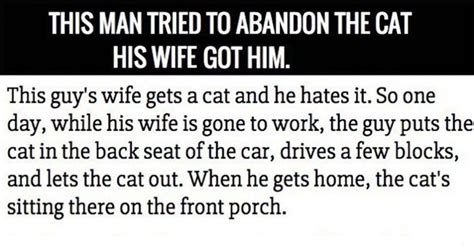 Cats · 1 decade ago. Man Tries To Abandon Wife's Cat. in 2020 | Going to work ...
