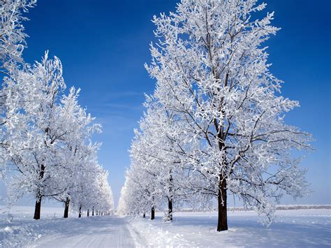 This winter i went around taing a lot of pretty snow pictures, so i am not bothering to come up with original titles or artist's comments for all of them. Wallpaper World: Snow Wallpapers
