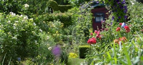 Trotz des nassen wetters der letzten tage / wochen hat sich einiges im garten getan. Natur im Garten - Ein Paradies zum Bleiben - Mödling