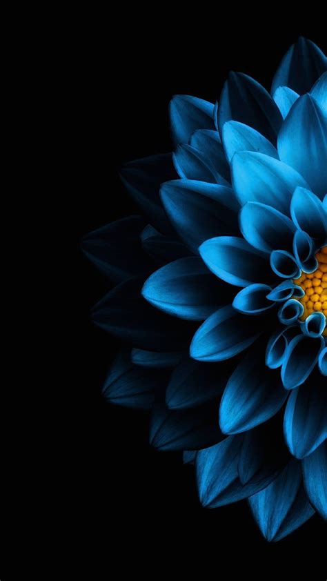 Download hd blue wallpapers best collection. Pin by Vinay Shekar on Smartphone Wallpapers | Black ...