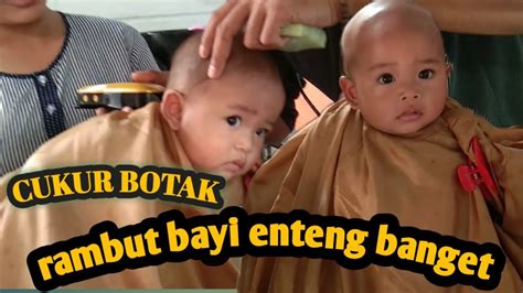 Rambut bayi dicukur lalu ditimbang dan disetarakan dengan emas kemudian disedekahkan. Cukur rambut bayi | gundul anak - YouTube