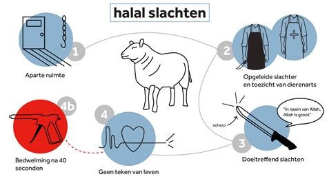 Abraham) bijna zijn zoon doodde voor god. Onzekerheid of vlees halal is bij eerste Offerfeest met ...