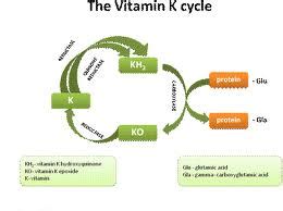 Still wondering what vitamins you should take? # Doc's Fitness Tip's, With Tit's: What's Vitamin K?