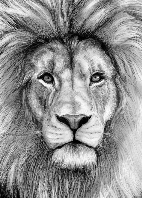 Get more free art lessons. Photo of lion wanted. Black and white. Right thigh | Lion ...