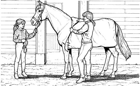 Pferde malbuch für erwachsene kinder jungs und mädchen: Ausmalbilder Pferde 07 | Ausmalbilder pferde, Malvorlagen pferde, Ausmalen