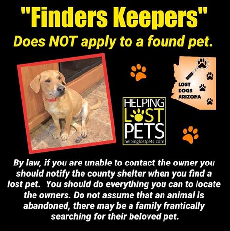 Another trick is to cry out and drop to the ground. If you find a lost dog, please do everything you can to ...
