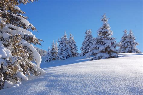 Concours de la plus belle photo sous la neige. Scenery & Spring Pictures: Photos De Paysages De Neige