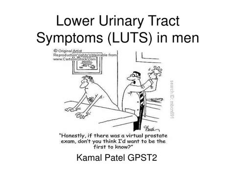 Other types of cancer can form in the uterus. PPT - Lower Urinary Tract Symptoms (LUTS) in men ...