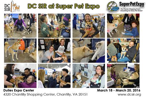 Great show featuring dogs of all breeds, cats, reptiles and much more. Past Events - DC Shiba Inu Rescue