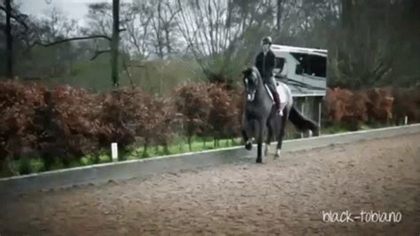 Charlotte dujardin talks about rider fitness, why it's important for riders to maintain a good level of fitness, how to improve your. black-tobiano
