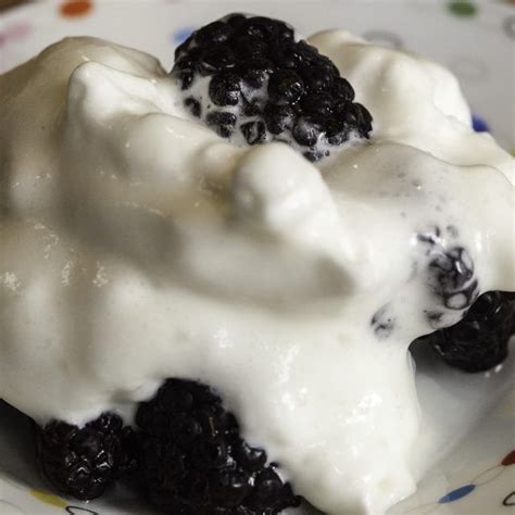 To achieve a thick, airy texture, combine skim milk and. How to Make Whipped Cream With Sweetened Condensed Canned ...
