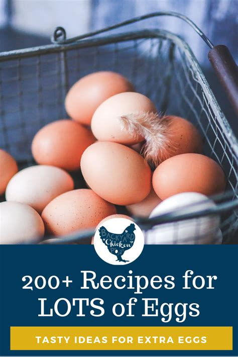 200+ recipes that use a lot of eggs how to cook eggs: 200+ Recipes that Use a LOT of Eggs in 2020 | Egg recipes ...