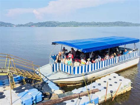 Maybe you would like to learn more about one of these? Orangutan Island: A Hidden Orangutan Sanctuary In West ...