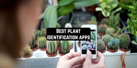 › best free plant identifier app. 16 Best plant identification apps for Android & iOS | Free ...
