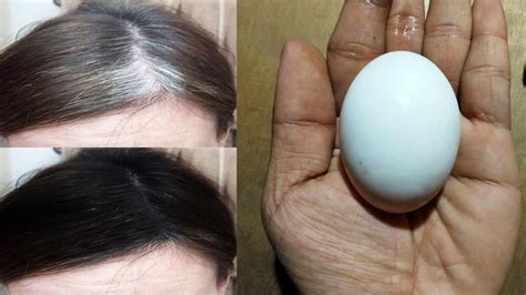 To turn white hair to black permanently, take a bowl and in it, add two tbsp of gooseberries paste and two tbsp of lemon juice. Hair white turns into natural black hair using eggs ...