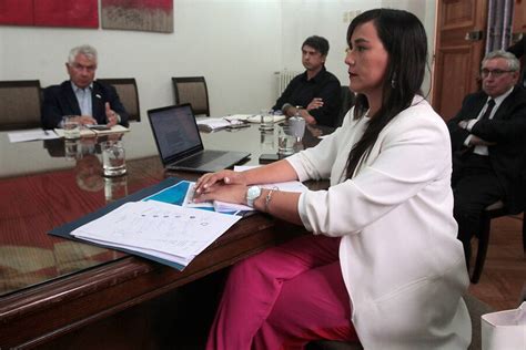 La presidenta del colegio médico pidió a las autoridades de salud retomar la estrategia. Izkia Siches y nuevo ministro de Salud: "Cuenta con total ...