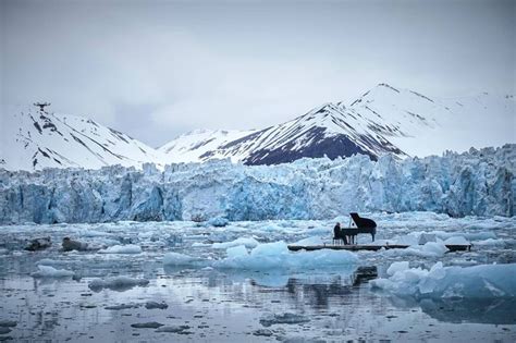 It is best known for its campaigns against whaling. Ludovico Einaudi performs for Greenpeace in front of the ...