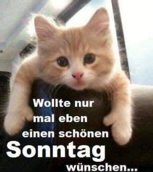 Am wochenende stellen wir die terrassenmöbel raus und tanken ein bisschen vitamin d. Moin Moin | Sonntag bilder lustig, Guten morgen lustig ...
