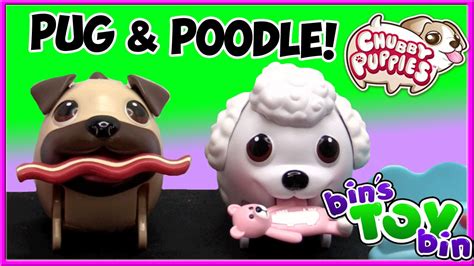 Amazon advertising find, attract, and engage customers: Chubby Puppies Poodle Seesaw Playset & Rare Pug! Review by Bin's Toy Bin - YouTube
