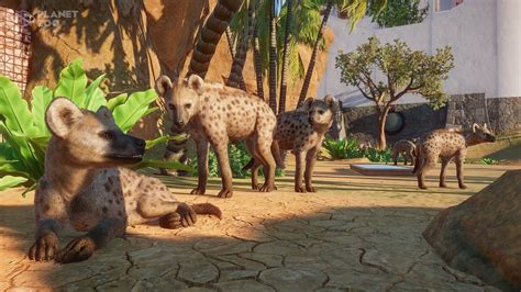 Your download will start free installer officially created from gamingbeasts.com. Torrent-Oyun | - Planet Zoo Deluxe Edition (v 1.2.5.63260 ...