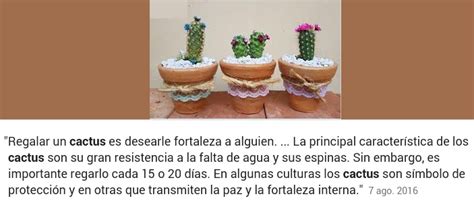 Simbolizan la seguridad y la estabilidad. En la Biblia, los Cactus son símbolo de protección...