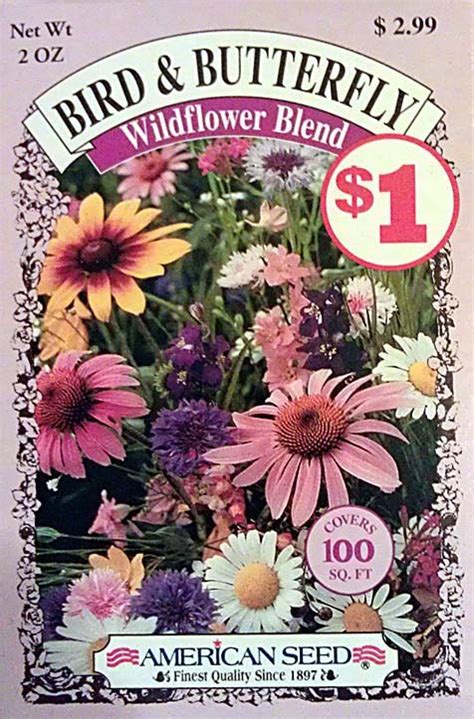 Now our dollar store is pretty limited so i went there with a closed mind. Flower Seeds from the Dollar Store? | Flower seeds, Seeds ...