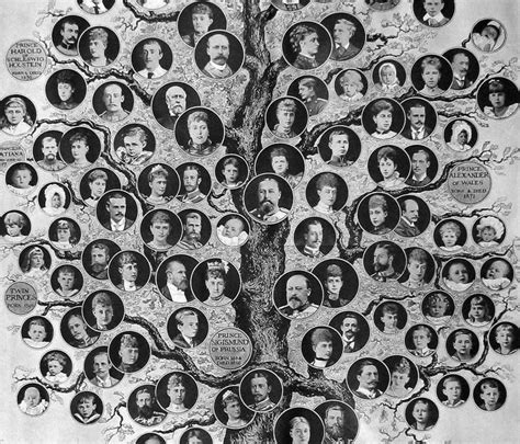 Darmstadt königin von england stammbaum vereinigtes königreich alte bilder zeitreise. Königin Victoria Von England Stammbaum / Stammbaum ...