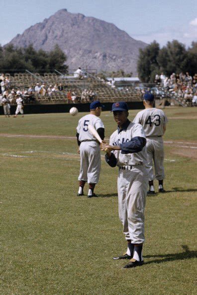 Chicago cubs spring training at sloan park in mesa, arizona for 2021. The Chicago Cubs in a Cactus League (not sure it was ...