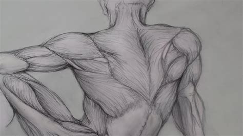 On a very lean or muscular type, you'll see the connection of the muscle to the tendon along this. Figure Drawing Lessons 6/8 - Anatomy Drawing For Artists ...