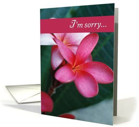 Send flowers online with a sweet i am sorry note and reconcile with your dear ones right away! I'm sorry Flower card | Flower cards, Im sorry cards ...