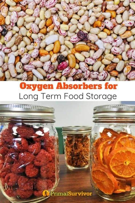 Making it the right choice. Oxygen Absorbers for Long Term Food Storage in 2020 ...