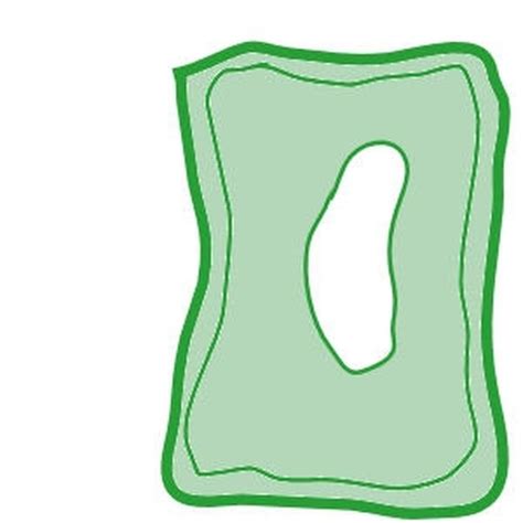 Maybe you would like to learn more about one of these? How to Make a Plant Cell Diagram | Sciencing