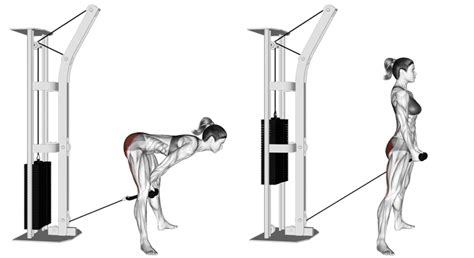 In this article i'm going to take a look at all the alternative. How To Tighten Your Glutes And Hamstrings With The ...