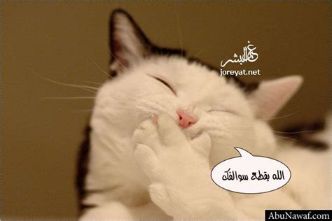 Maybe you would like to learn more about one of these? اضحك مع الصور ، صور مضحكة جديدة - منتديات عبير