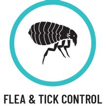 Get the inside scoop on jobs, salaries, top office locations, and ceo insights. Orlando Pest Control Custom Pest Solutions - HOME