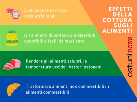 Molti pensano che cuocere gli alimenti sia sempre deleterio, perché la cottura ne distruggerebbe le proprietà nutritive. La cottura degli alimenti: tutti i vantaggi - Ostuni News