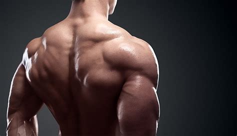 Cool catchy clever gym names ideas. The 4 Best Exercises For Bigger Traps - ShreddedCore