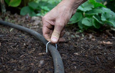 Make a layout plan of your yard and then add locations of sprinklers and irrigation. Why You Should Be Using Soaker Hoses in Your Garden | Drip irrigation diy, Drip irrigation ...