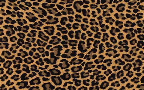 Hdwallpapers.net is a place to find the best wallpapers and hd backgrounds for your computer desktop (windows, mac or linux), iphone, ipad. Leopard Print Wallpaper (37 Wallpapers) - HD Wallpapers