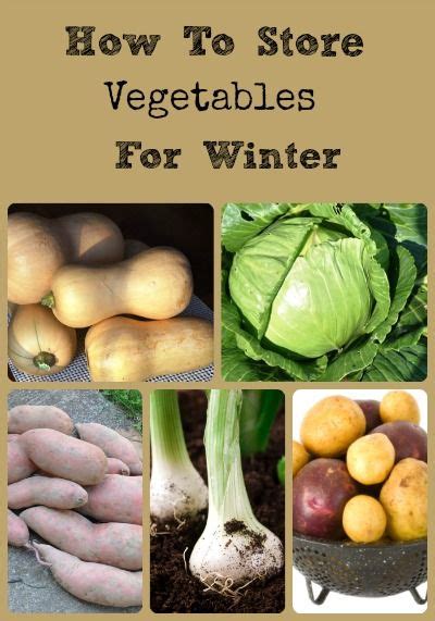 Maybe you would like to learn more about one of these? How to Store Vegetables for Winter via Better Hens and ...