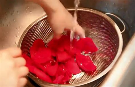 Resep air mawar buatan sendiri dari bunga mawar asli secara alami sederhana di rumah. Muslimah, Ini Tips Mudah Membuat Air Mawar di Rumah, Baik ...