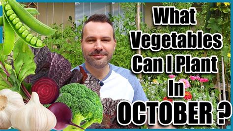 It thrives in areas that stay wet all year and can grow in up to about a foot (30.5 cm) of water. What Can I Plant in October? Cold Hardy Vegetables. - YouTube