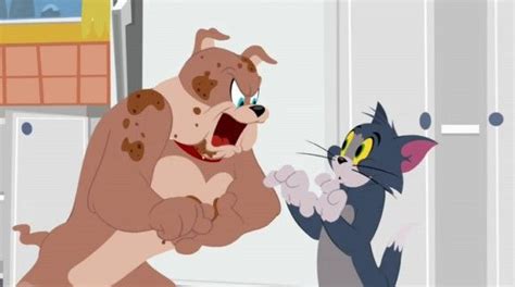 Search, discover and share your favorite the tom and jerry show 2014 gifs. Watch The Tom and Jerry Show Episode 24 Hunger Strikes; Gravi-Tom Online - The Tom and Jerry ...