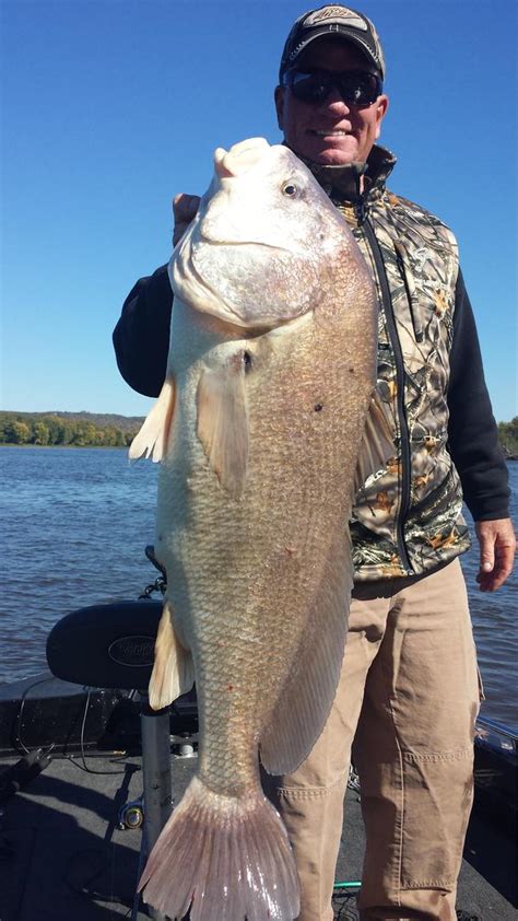 Pool 9 will be anything but a disappointment to anyone seeking adventure. Mississippi River Pool 4 - Minnesota Fishing Reports and ...