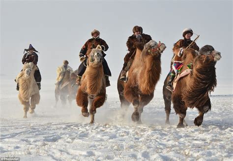 The influx of visitors during the camel fair causes the demand for accommodations to skyrocket, and prices increase accordingly. Camel racing, a dancing shaman and a bout of wrestling ...